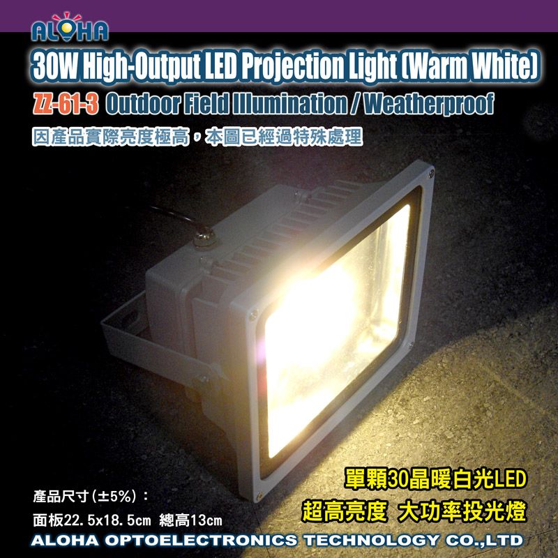大功率LED投光燈30W(暖白光)